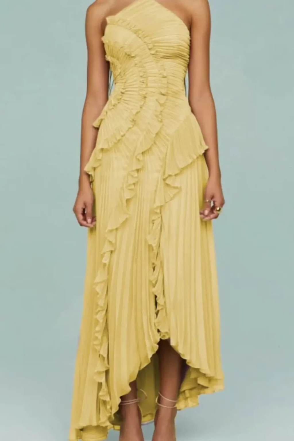 Seraphine | Pleated Ruffle Maxi Dress